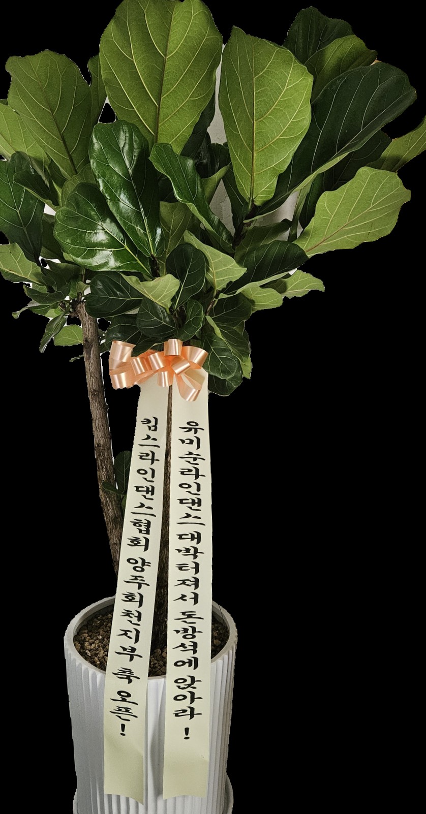 /user/k/kimslinedance/editor/2505/0f81cc9cf05e8b90424967ea91c10f27_1748583260_8066.jpg 이미지크게보기
